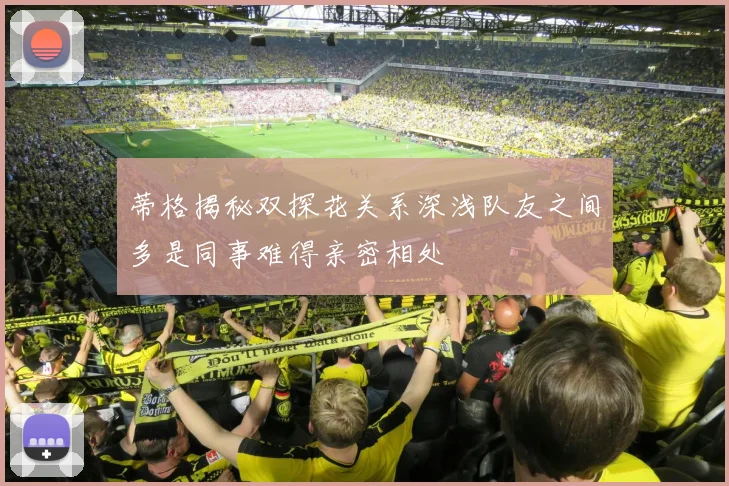 蒂格揭秘双探花关系深浅队友之间多是同事难得亲密相处
