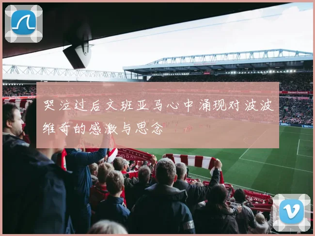 哭泣过后文班亚马心中涌现对波波维奇的感激与思念