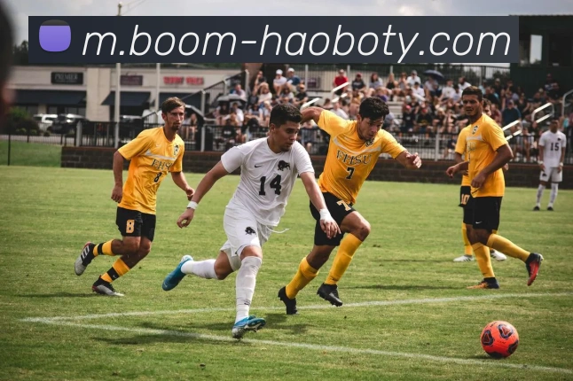 奖项1